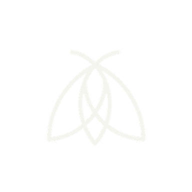 Polilla Blanca
